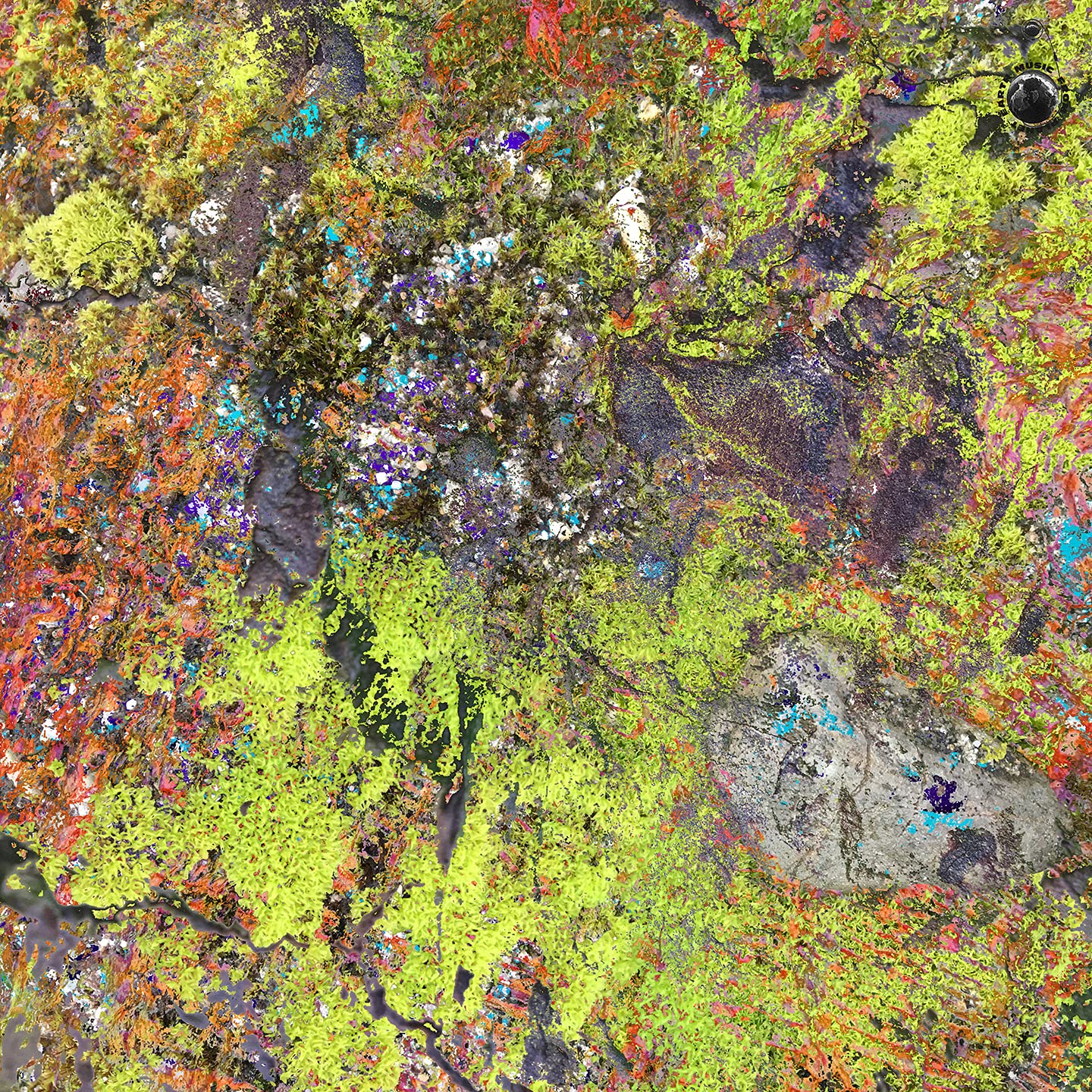 Lunar Orbit Rendezvous