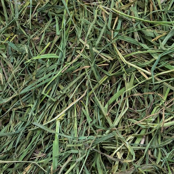 Rabbit Hole Hay - Ultra Premium Soft Timothy Hay for Small Pets - 12 oz Bag - Fresh & Soft