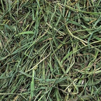 Rabbit Hole Hay - Ultra Premium Soft Timothy Hay for Small Pets - 12 oz Bag - Fresh & Soft