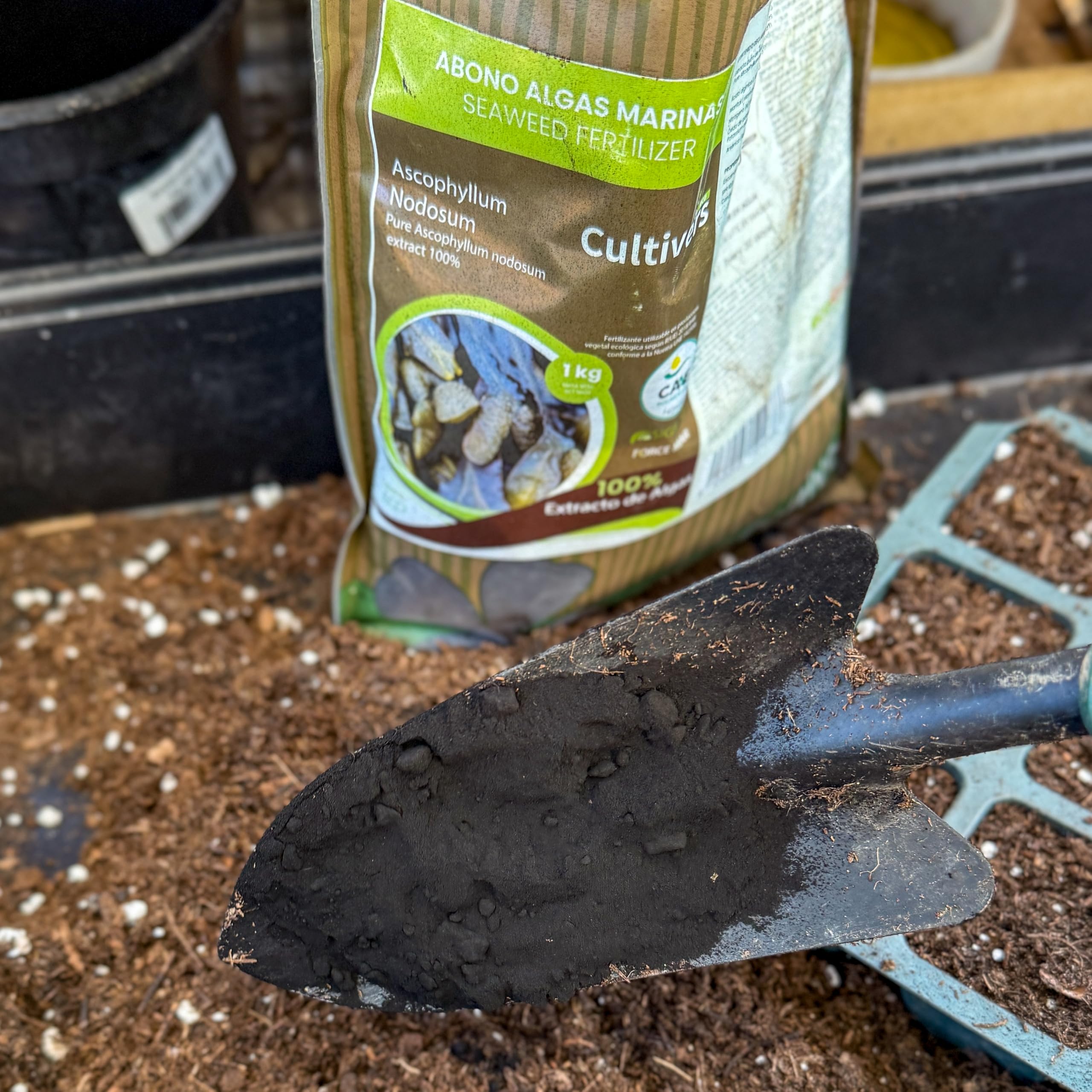 CULTIVERS Concime di Alghe Marine 1 kg, Fertilizzante Organico Ecologico in Polvere Solubile, Estratto 100% Ascophyllum nodosum, Bioattivatore Force Mar Eco