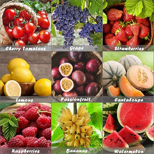 Miniatura 2 de Semillas de frutas tradicionales - Semillas de supervivencia. Tomates cherry, melón, sandía, fresas, maracuyá, limones, frambuesas, uva, 8