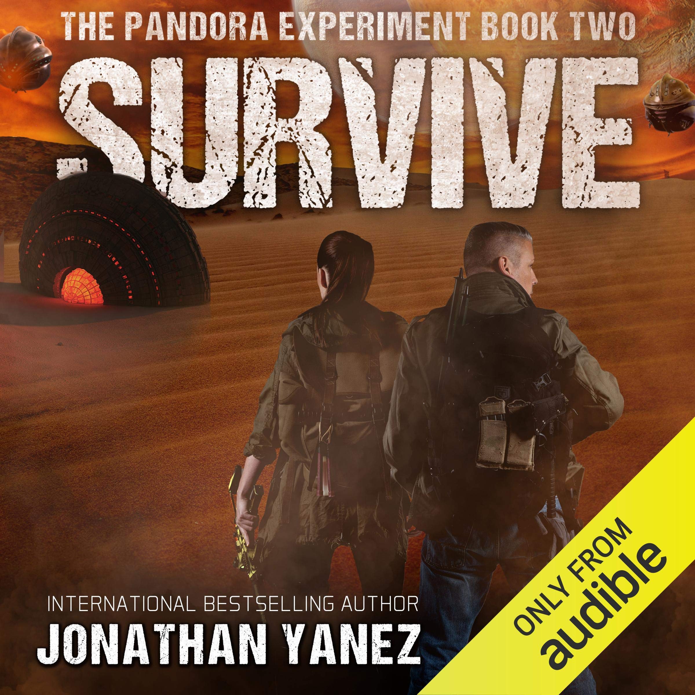Cover art for Survive