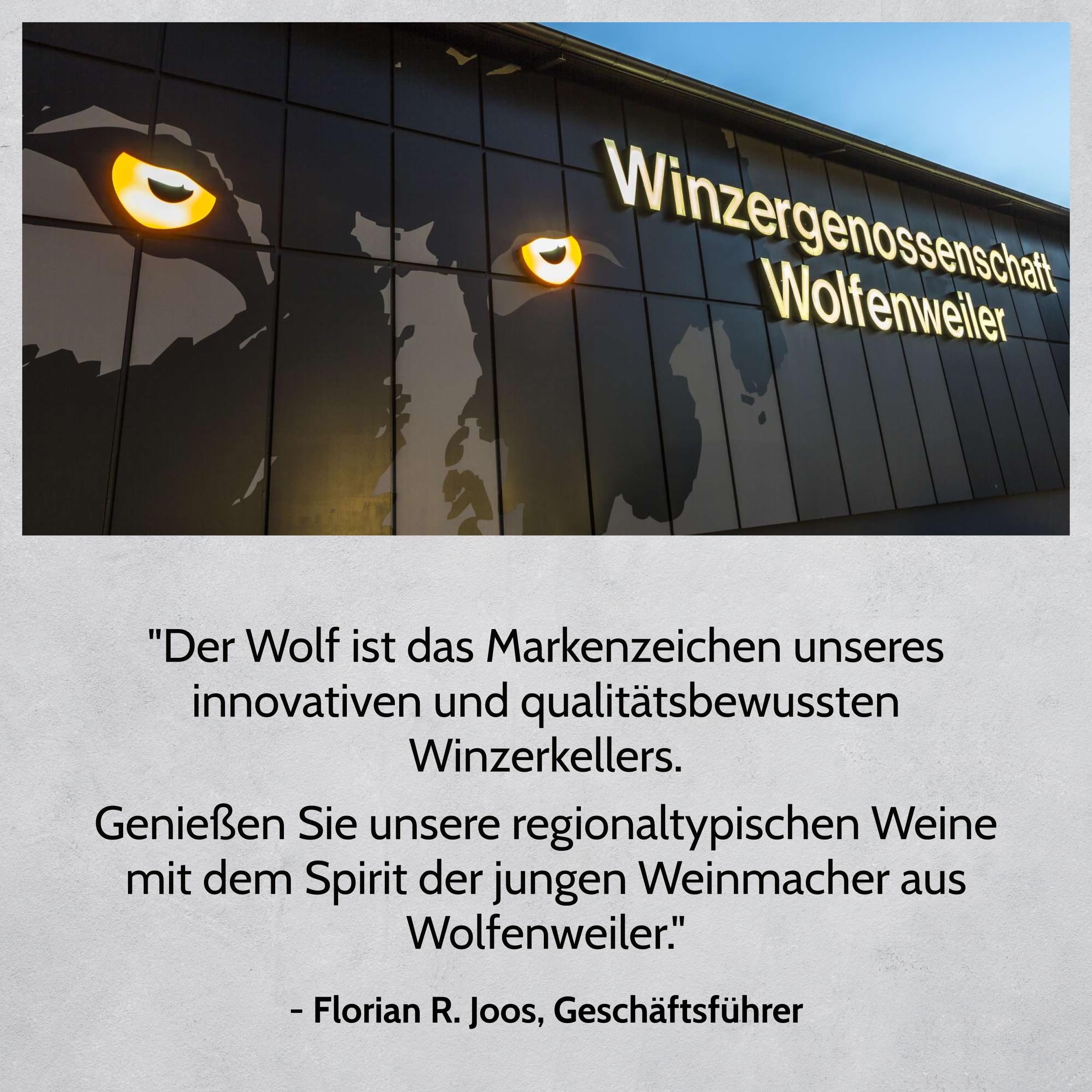 Wolfenweiler Spätburgunder trocken - Schwarzer Wolf rubinroter Rotwein trocken mit Holz- und Vanillearomen - Wein aus dem Markgräflerland Baden (6 x 0,75l)