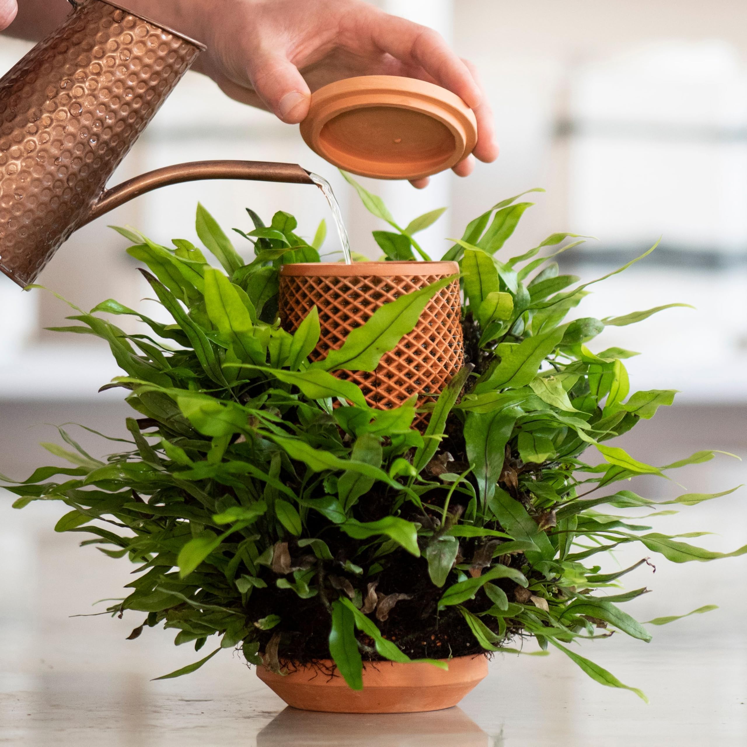 tevaplanterHydroponic Indoor Planter - Innovative Ceramic Planter for Sustainable Plant Growth, Soil-Free Home, Eco-Friendly - Indoor