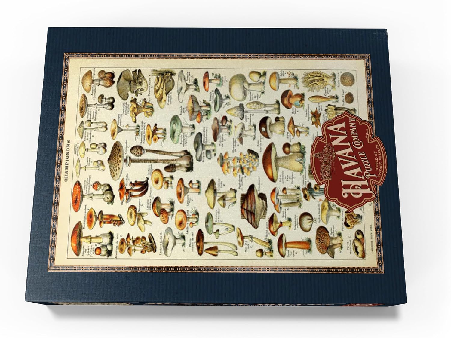 MyPuzzle Champignons - Mushrooms for All, Vintage Art Poster, Adolphe Millot - Premium 500 Piece Jigsaw Puzzle for Adults