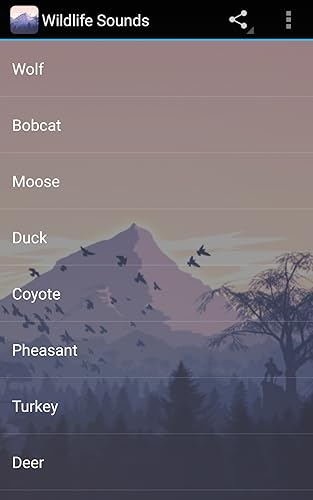 Wildlife Sounds