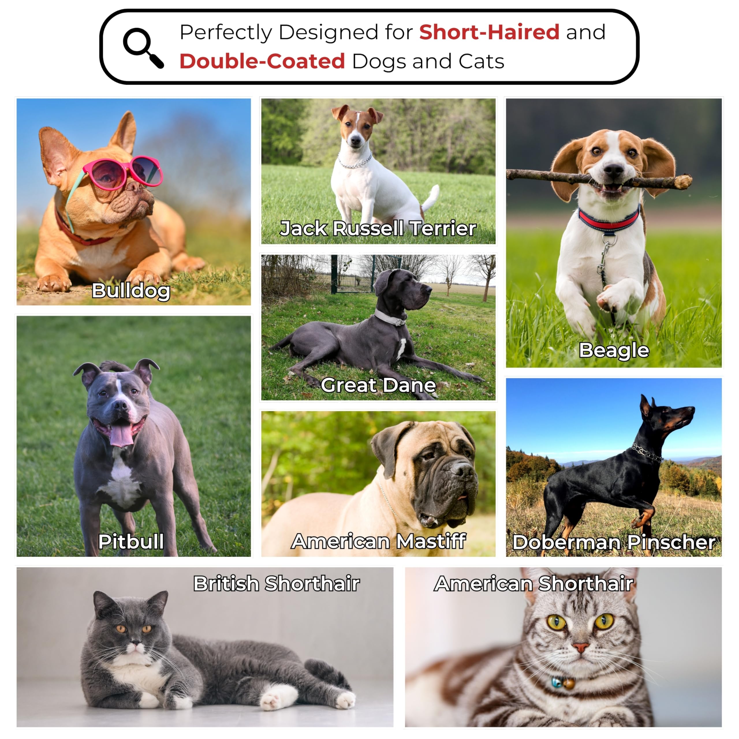 Spezialisiertes Fellpflege-Werkzeug für Pferde und kurzhaarige, doppelt beschichtete Hunde [für englische Bulldoggen und französische Bulldoggen, Pit Bull, Boxer, Dobermann-Pinscher und mehr]