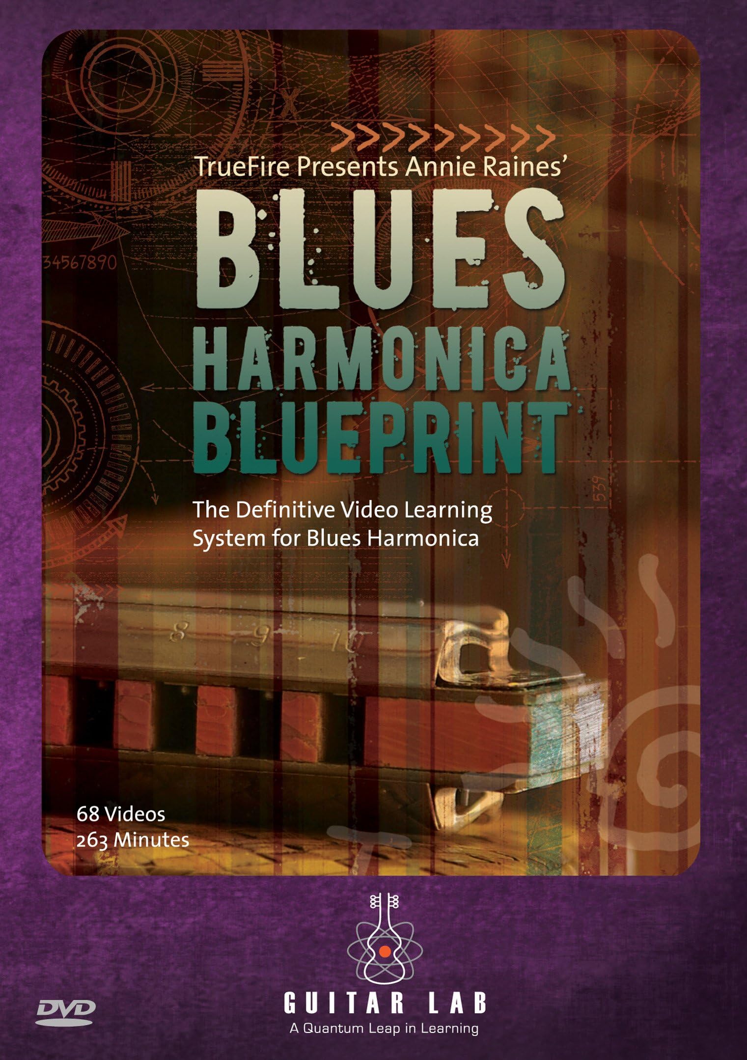 GUITAR LAB TF10141 Channel DVD Duplicator