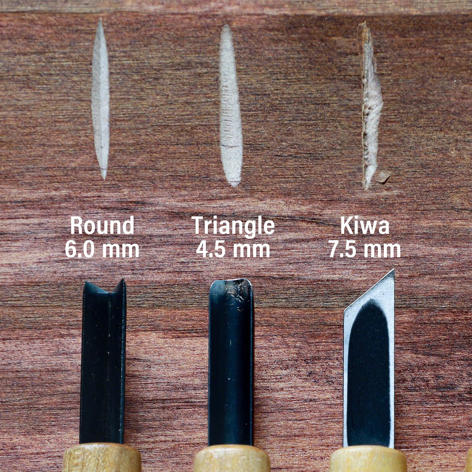 Wazakura Set di Attrezzi per la Creazione di Jin e Shari per Bonsai con Sgorbia Rotonda, Smussato a Singolo Angolo e a V, Lavorazione del Legno (Kit da 3 Pezzi per Jin e Shari per Bonsai)
