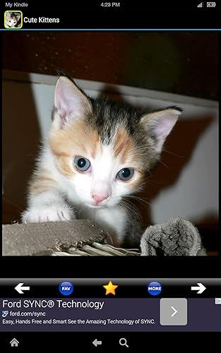 Cute & Adorable Kittens!!! FREE Kitten Meow Pets Wallpapers for Kids! Cat Lovers and World Animal Ki