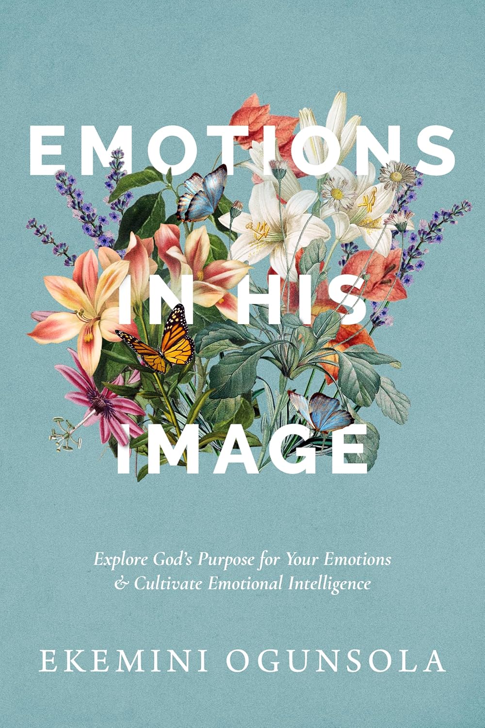 Emotions in His Image: Explore God's Purpose for Your Emotions & Cultivate Emotional Intelligence      Kindle Edition