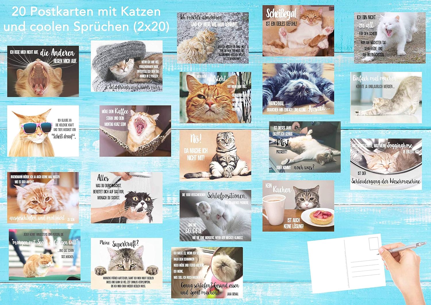 Edition Seidel Set of 40 Cat Postcards with Funny Sayings (2 x 20) - Cards with Saying - Crazy Cats - Birthday - Motivation (40 Cards) - Image 5
