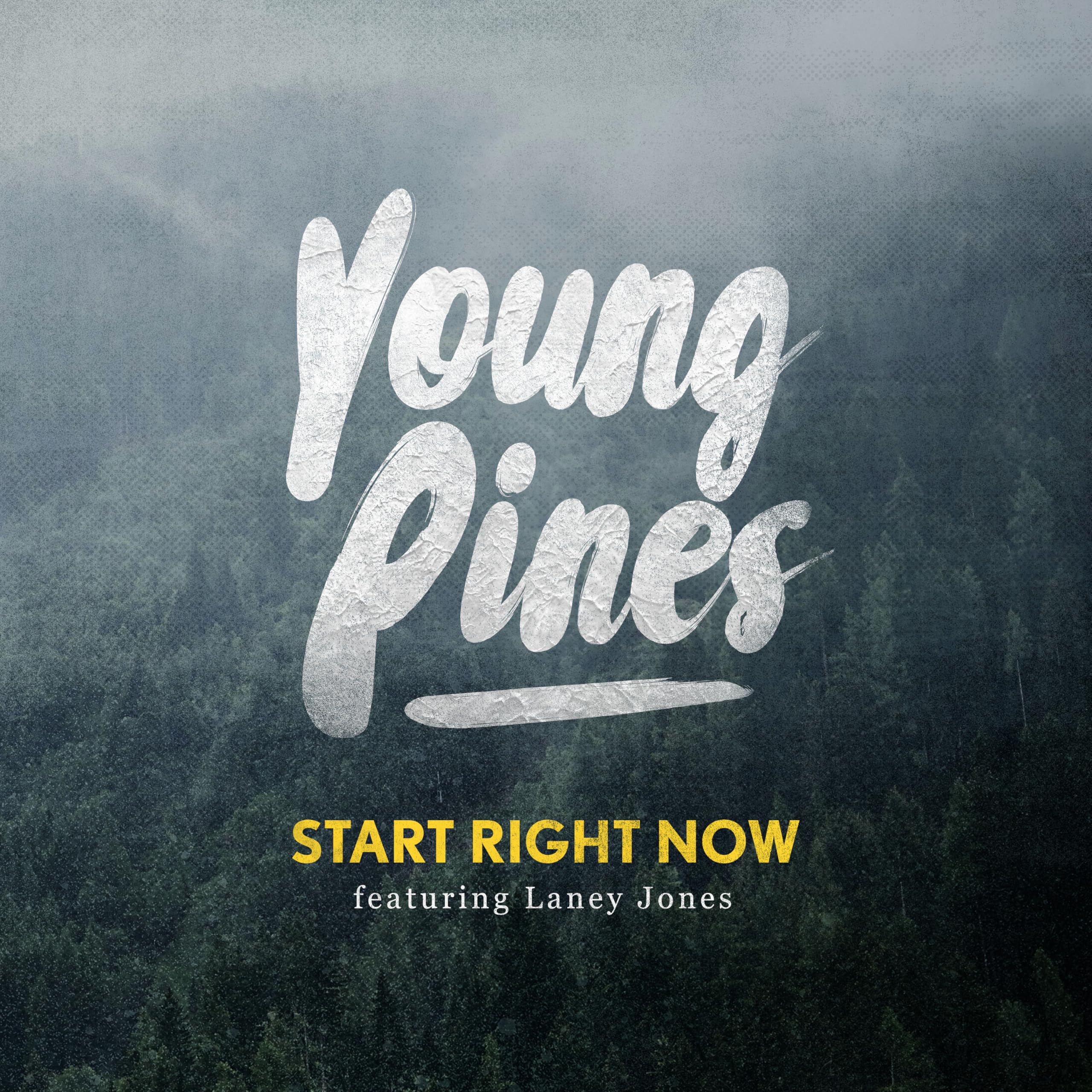Young Pines