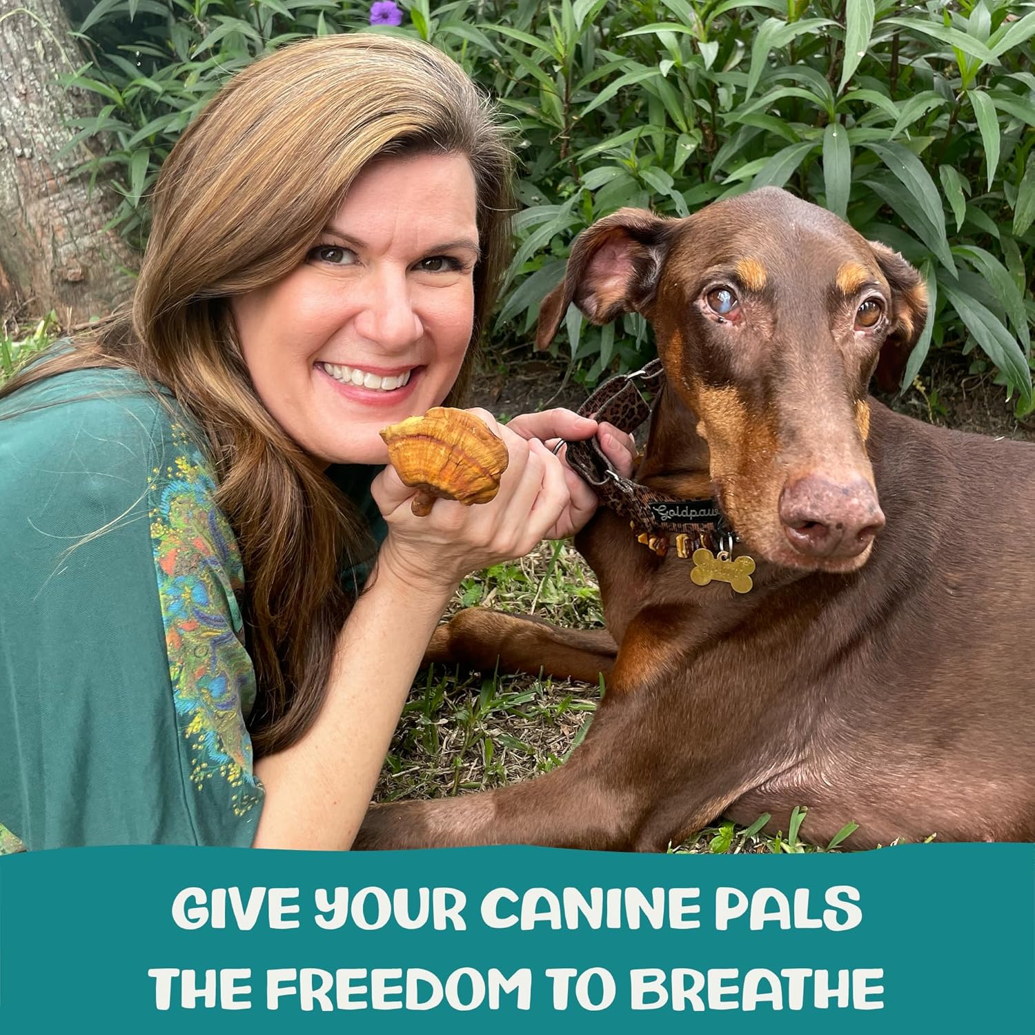 MycoDog Breathe Dog Allergy Relief Drops 2 fl. oz.: Mushroom Extracts & Ashwagandha Tincture | Respiratory Support Itch Relief for Dogs | Chaga & Reishi Mushroom Blend