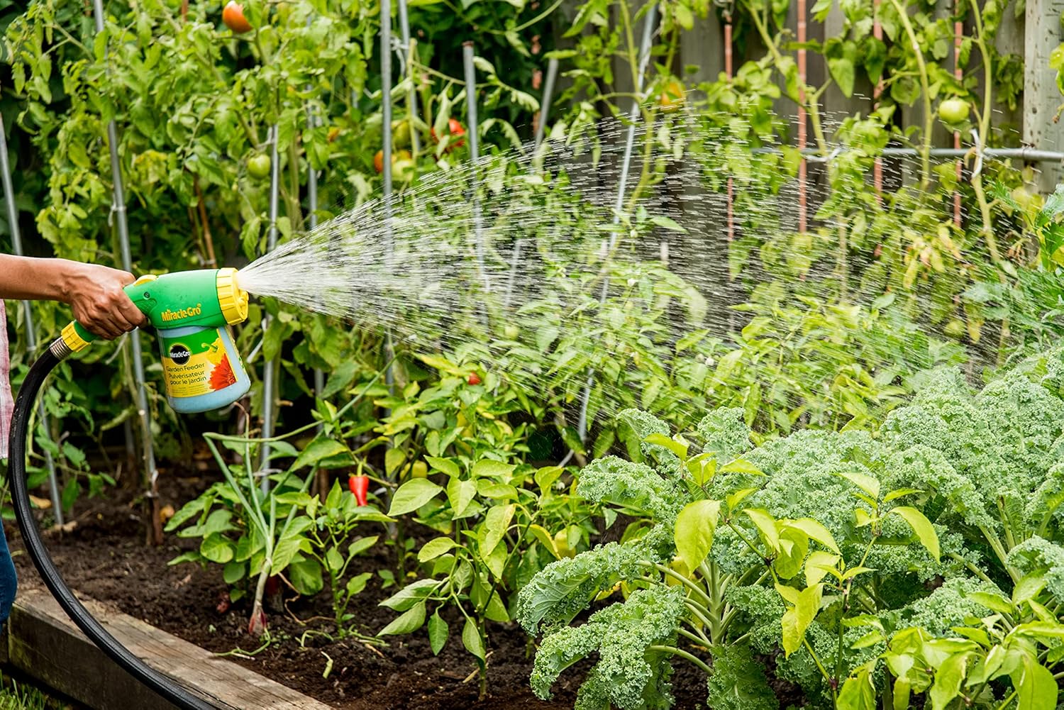 Miracle-Gro Garden Feeder Hose End Sprayer, with All Purpose Plant Food