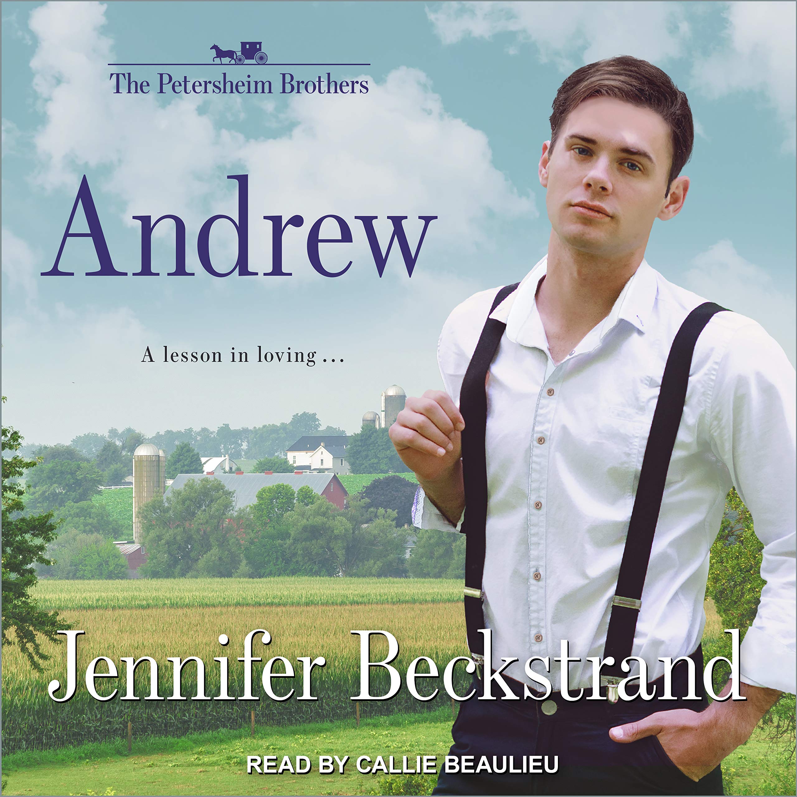 Buy Andrew: 1 (Petersheim Brothers) — BookShops.in