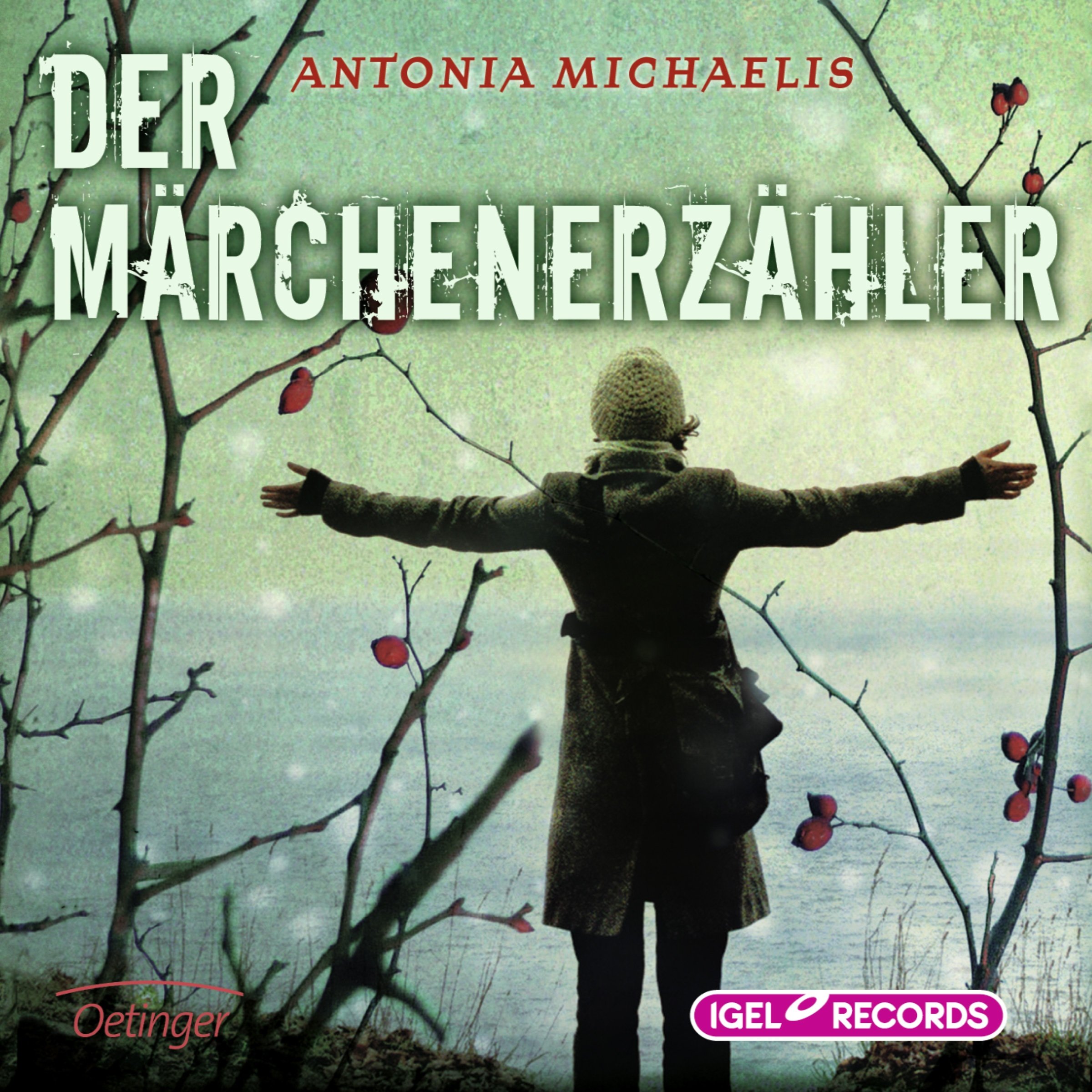 Cover art for Der Märchenerzähler