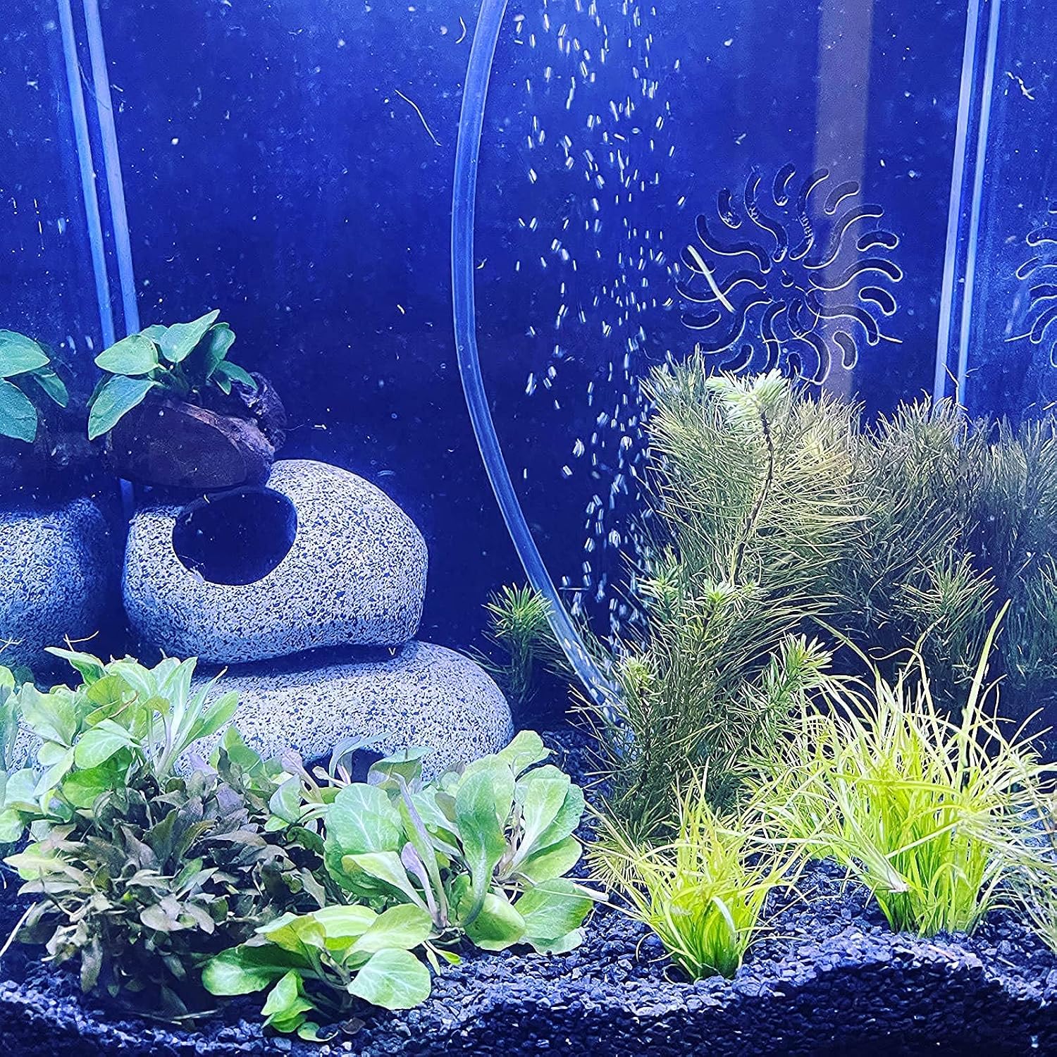 CRMADA 2 Stackable Fish Tanks Decorated with Caves, Fish and Shrimp Hide to Breed and Spawn, and Natural hideouts for Fish are Decorated.