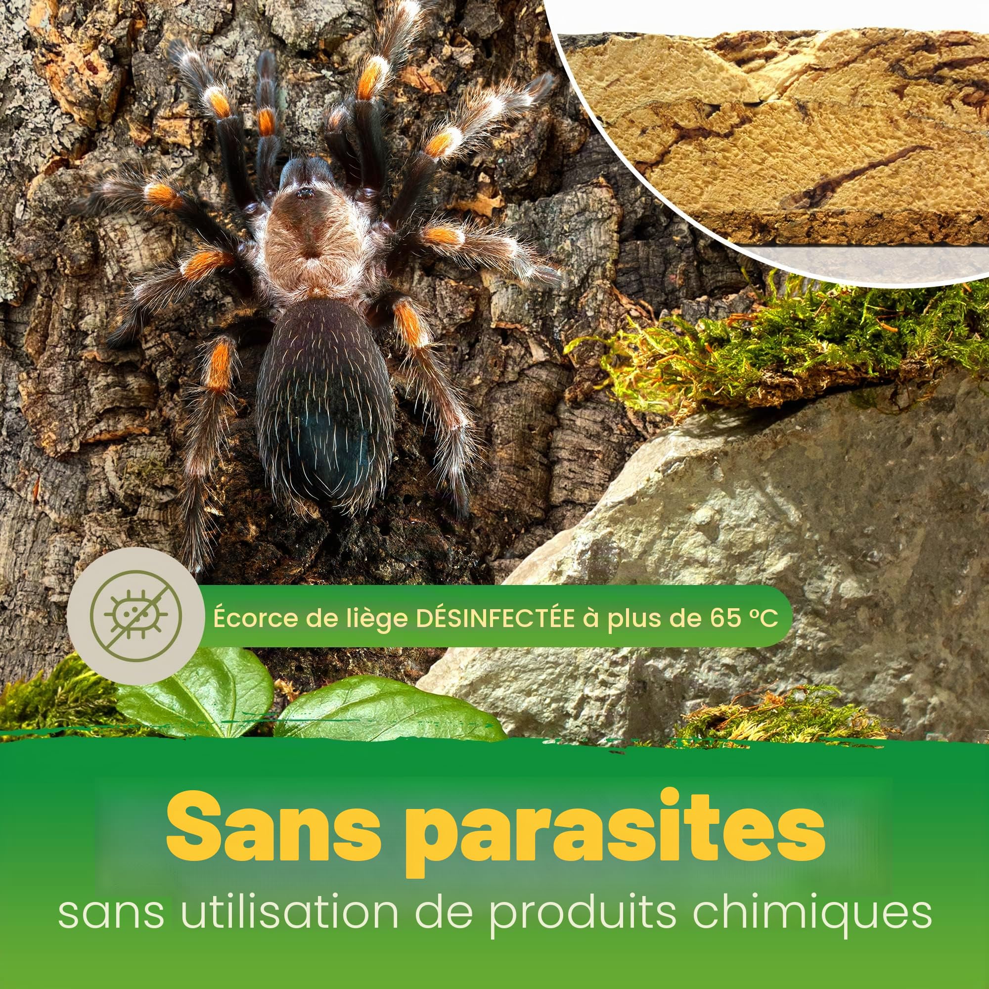 Paroi arrière XL en liège 3D pour Terrarium 90 x 60 cm