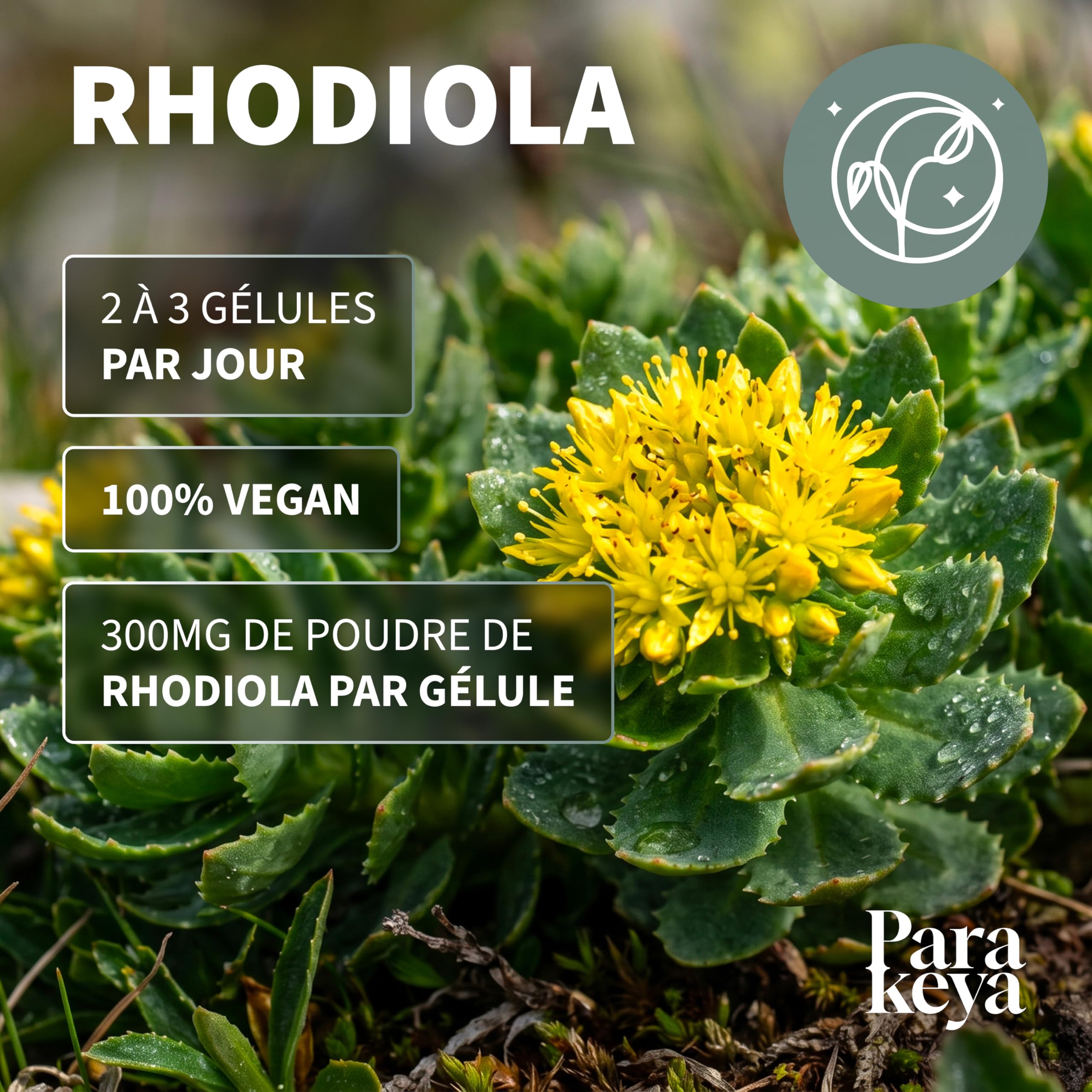 Rhodiola 300 mg - 180 gélules - Complément alimentaire