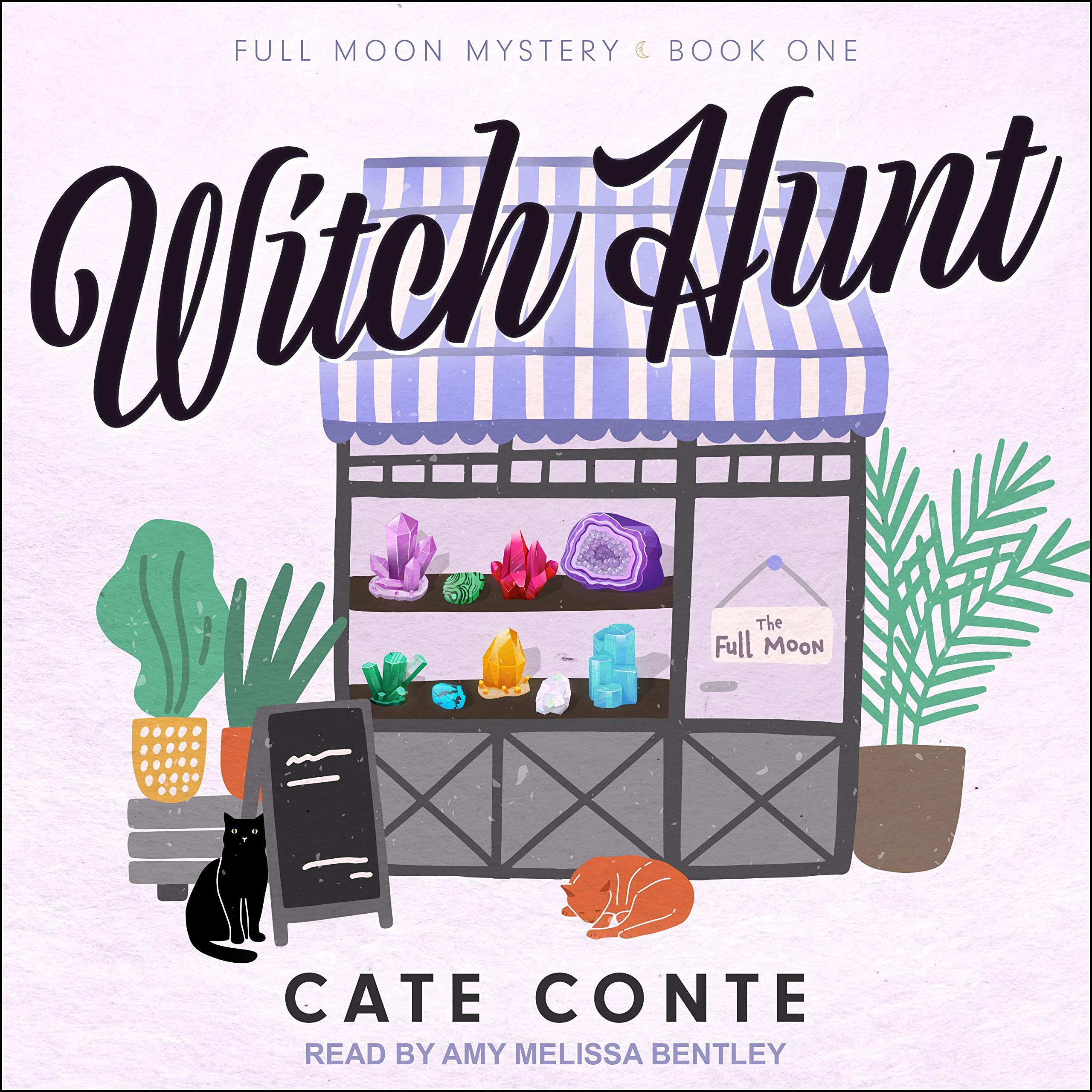 Cover art for Witch Hunt