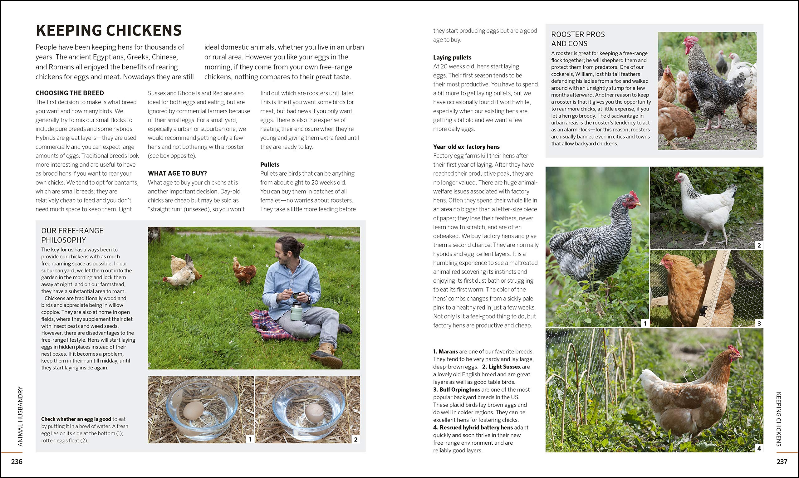 Self-Sufficiency for the 21st Century: The Complete Guide to Sustainable Living Today - Image 7