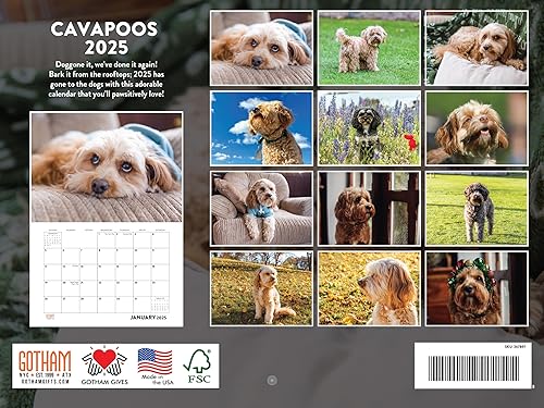 Vista 136 de Calendario Goldendoodle 2026 Golden Doodle mensual de pared calendario de 12 meses Fabricado en Estados Unidos