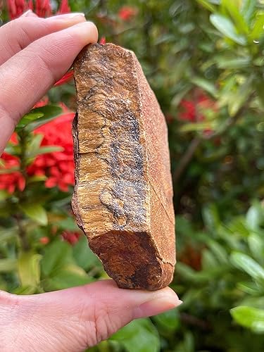 Miniatura 8 de GAF TREASURES Cristales de ojo de tigre crudos al por mayor, piedra natural de ojo de tigre, cristales naturales de ojo de tigre áspero, ojo de