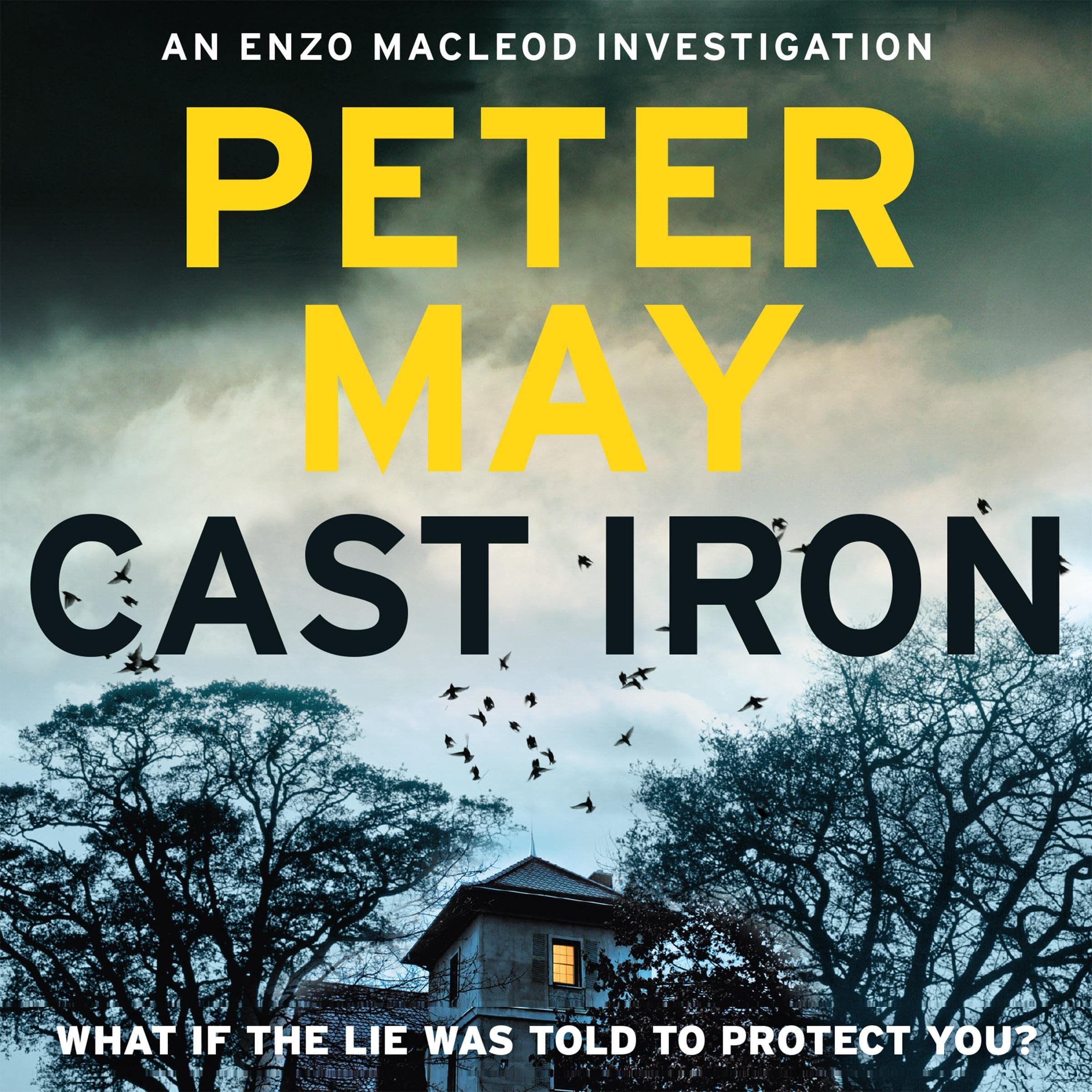 Cover art for Cast Iron