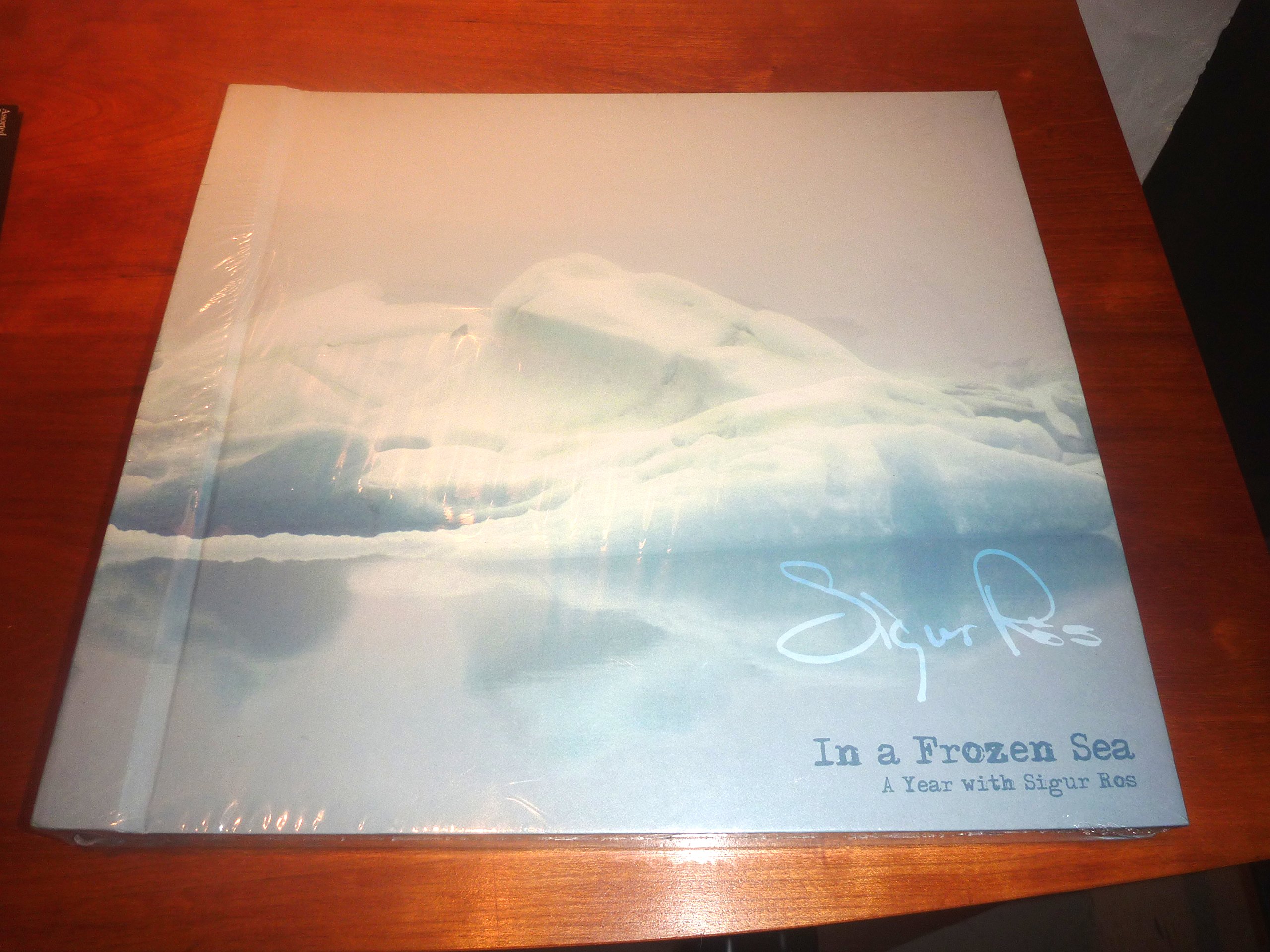 Amazon.com: In a Frozen Sea: A Year with Sigur Ros