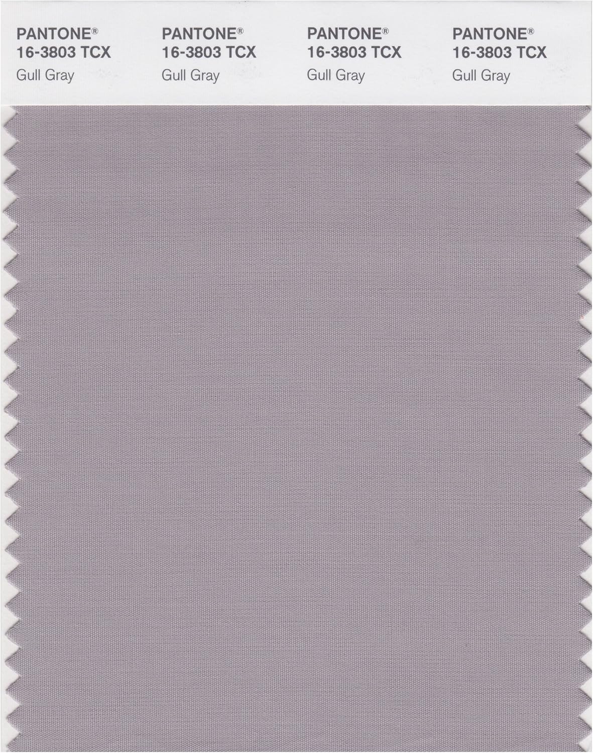 PANTONE Smart 16-3802X Color Swatch Card, Ash