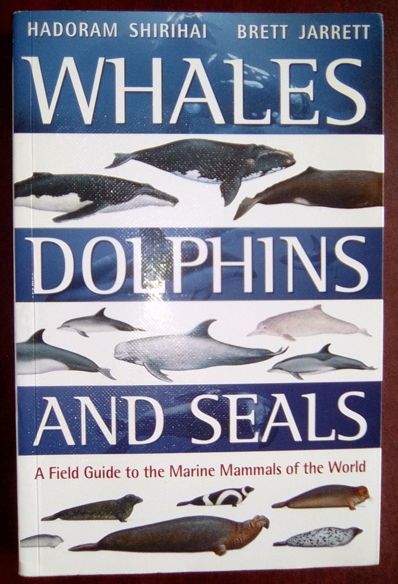 Whales,Dolphins and Seals: A Field Guide to the Marine Mammals of the World Paperback โ 11 Sept. 2006