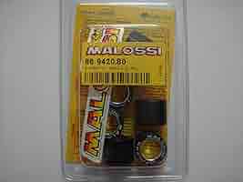 Rulli Massette Variatore Malossi Per Scooter - Pesi Da 4.7g, Diametro 19x15.5mm, In Acciaio Inox - Foto 6