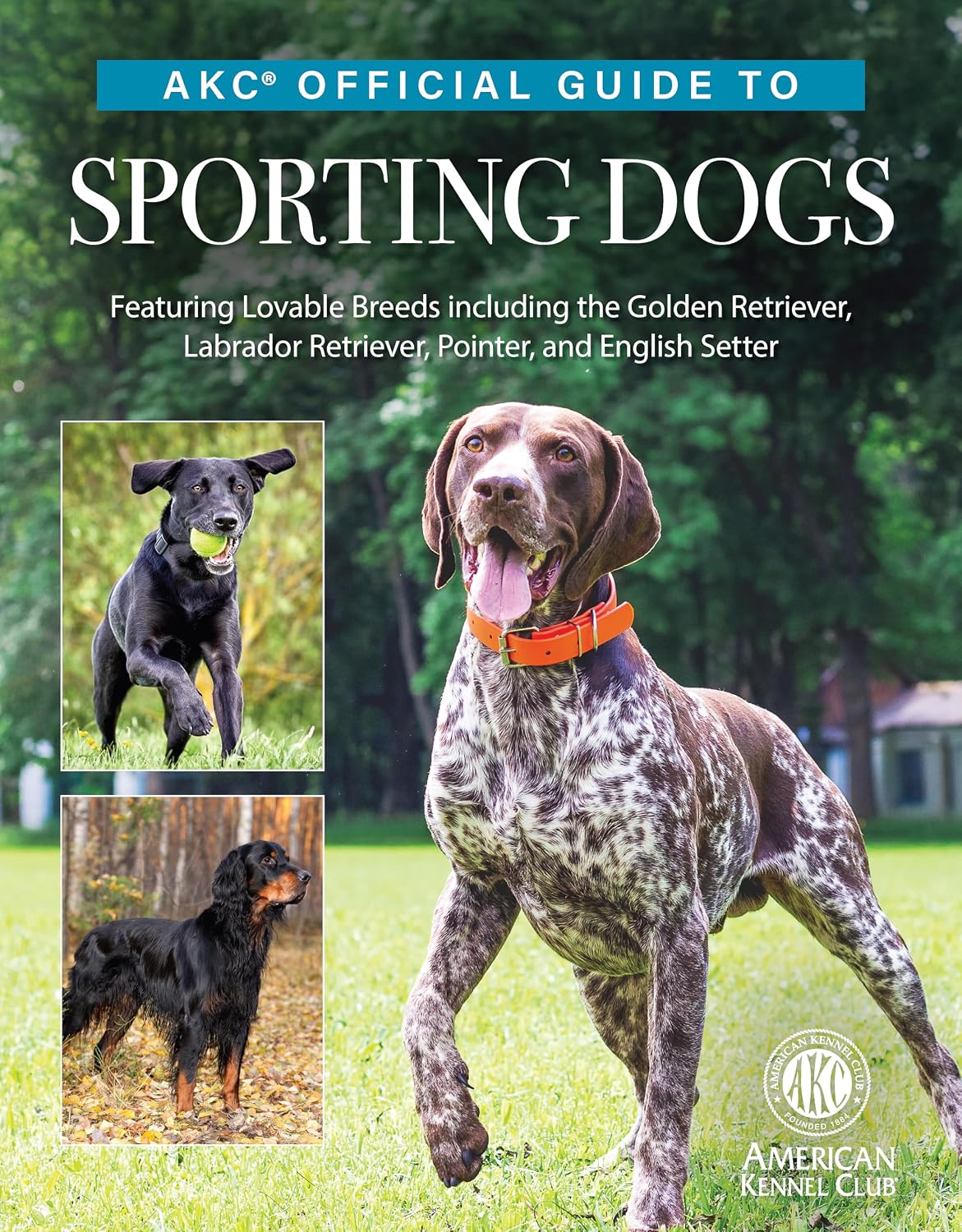 AKC Official Guide to Sporting Dogs: Featuring Lovable Breeds including the Golden Retriever, Labrador Retriever, Pointer, and English Setter (CompanionHouse Books) From the American Kennel Club