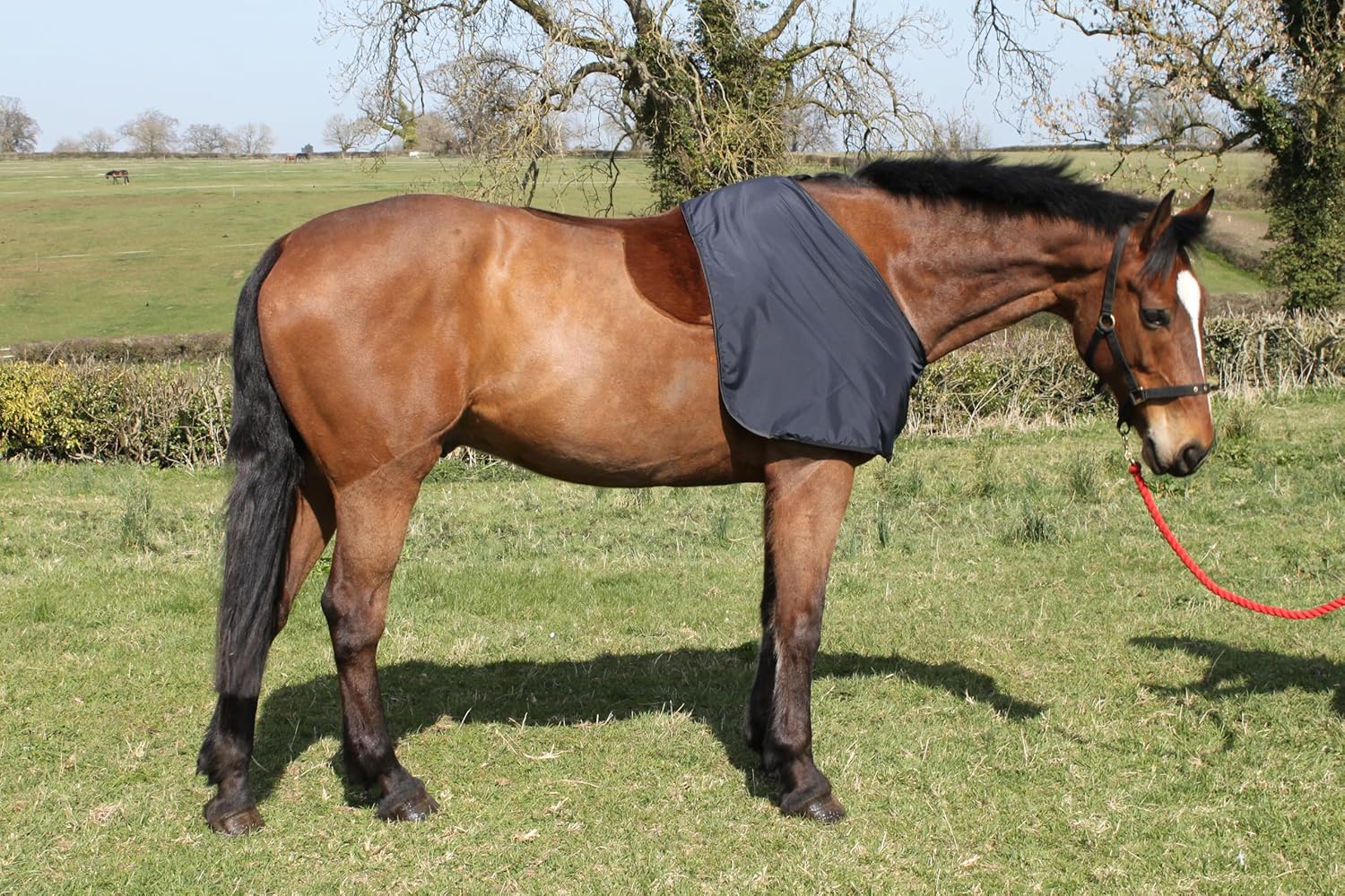 Shoulder Guard for Horse and Pony | Anti-Rub | Silky Bib for Rub Protection | Navy | Snuggy Hoods | 8 Sizes