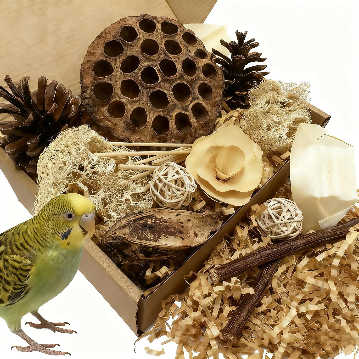 Bird Pet Toys - Lotus Pod Foraging Box, 10 Natural Ingredients | Chewing and Shredding Parrot Toys | Ideal for Parakeets/Cockatiels/Conures/Lovebirds and Small to Medium Birds