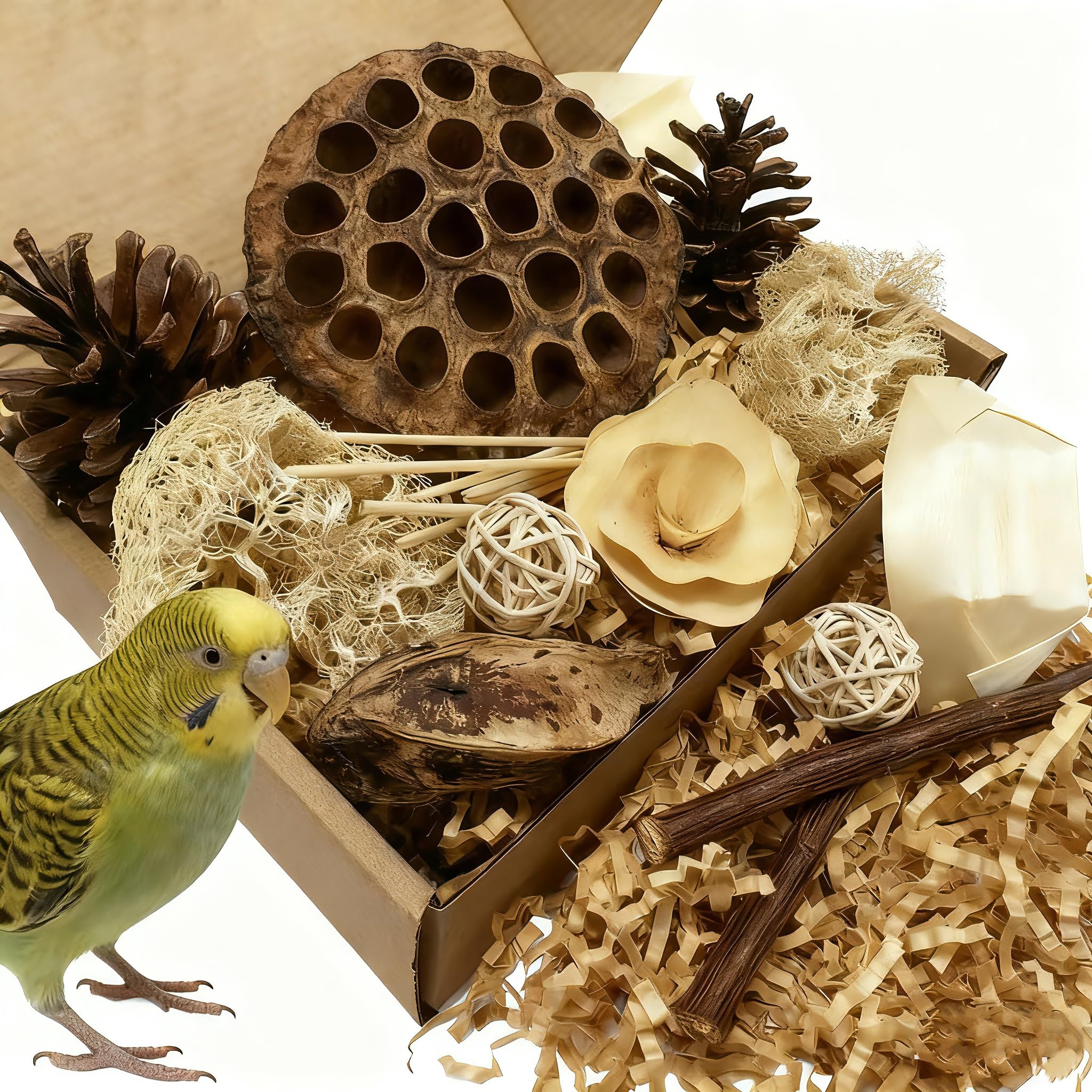 Bird Toys - Lotus Pod Foraging Box, 10 Natural Ingredients | Chewing and Shredding Parrot Toys | Ideal for Parakeets/Cockatiels/Conures/Lovebirds and Small to Medium Birds