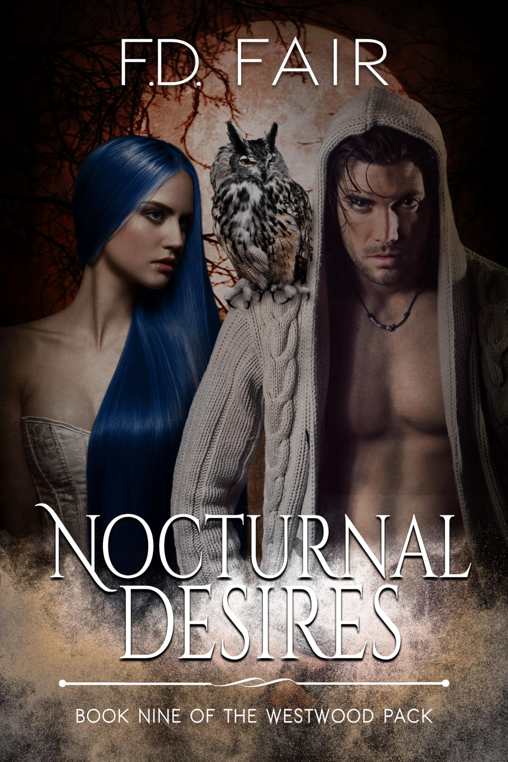 Cover of Nocturnal Desires