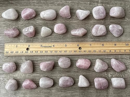 Miniatura 9 de GAF TREASURES Piedras pulidas de kunzita al por mayor, piedra preciosa natural pulida de la kunzita, rocas pulidas kunzita (Kunzita, 0.25 libras)