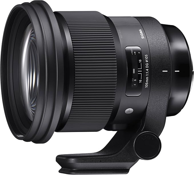 Sigma 105Mm F/1.4 Dg Hsm Art For Nikon: Buy Online at Best Price in UAE