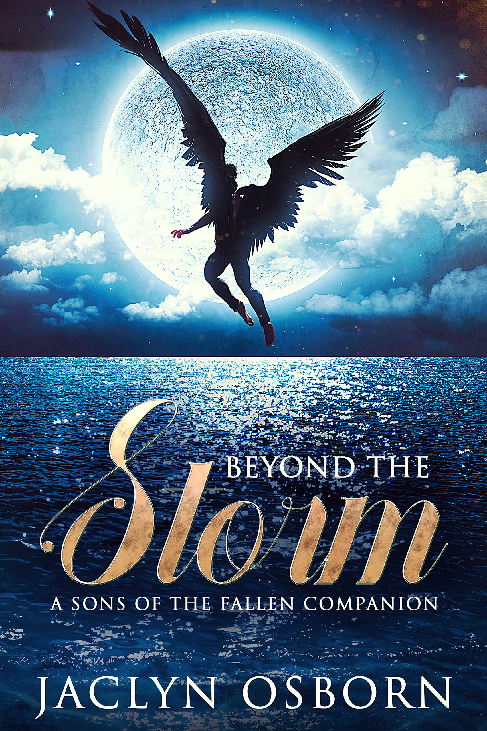 Beyond the Storm: A Sons of the Fallen Companion