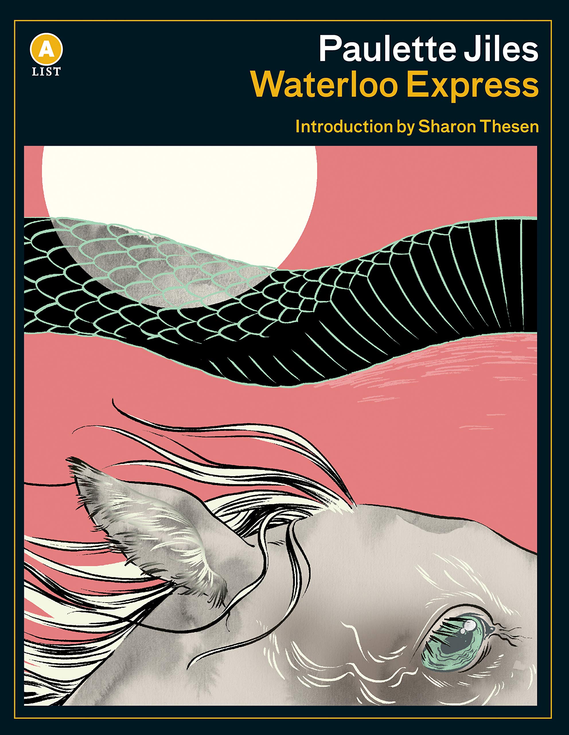 Buy Waterloo Express — BookShops.in