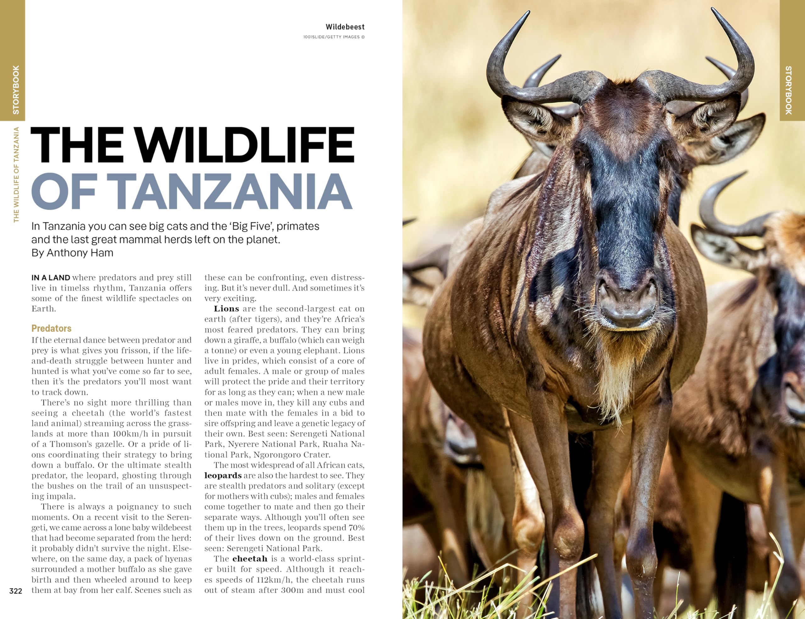 Tanzania - 8ed -Anglais: Plan the Trip of a Lifetime | Detailed Itineraries & Maps | Insider Tips | Covers Dar es Salaam, Zanzibar, Lake Victoria and more