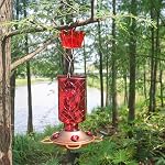 Hummingbird Feeder Ant Guard, 6 OZ x 2 Pack Large Ant Moat for Hummingbird Feeders, Ant-Proof Moat for Outdoor Feeders, Durable Ant Traps & Guards, Transparent Water Level, Easy to Install & Clean