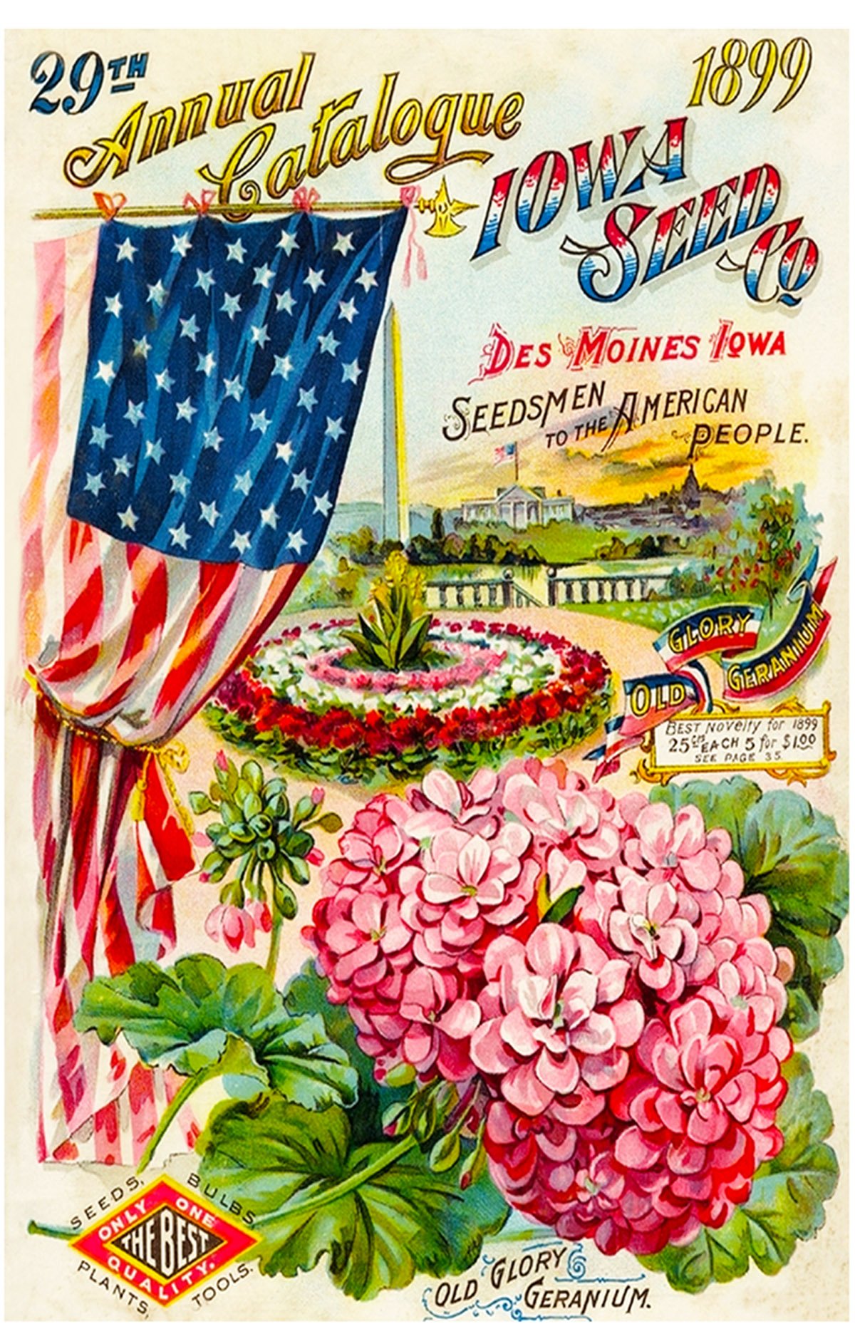 Waterslide Decals (4pcs 2.5"x3.5"Each) Geraniums FLONZ 0668 Vintage Flowers