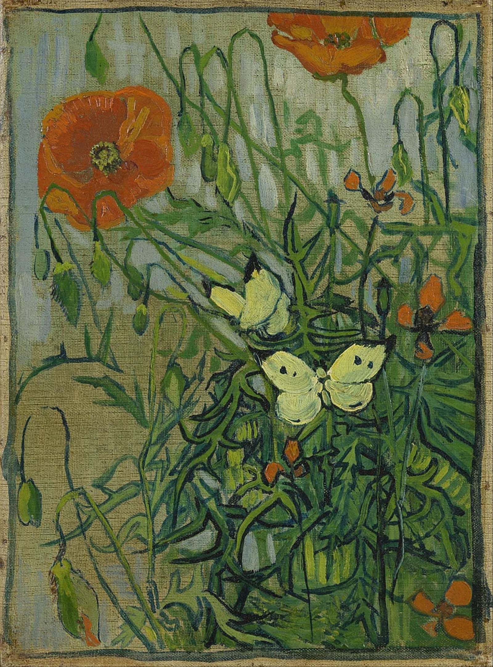 ARTXLXXBN Famous Painting Canvas Artwork Graffiti Print Butterflies and Poppies Portrait Canvas Image for Home Decor 60x90cm