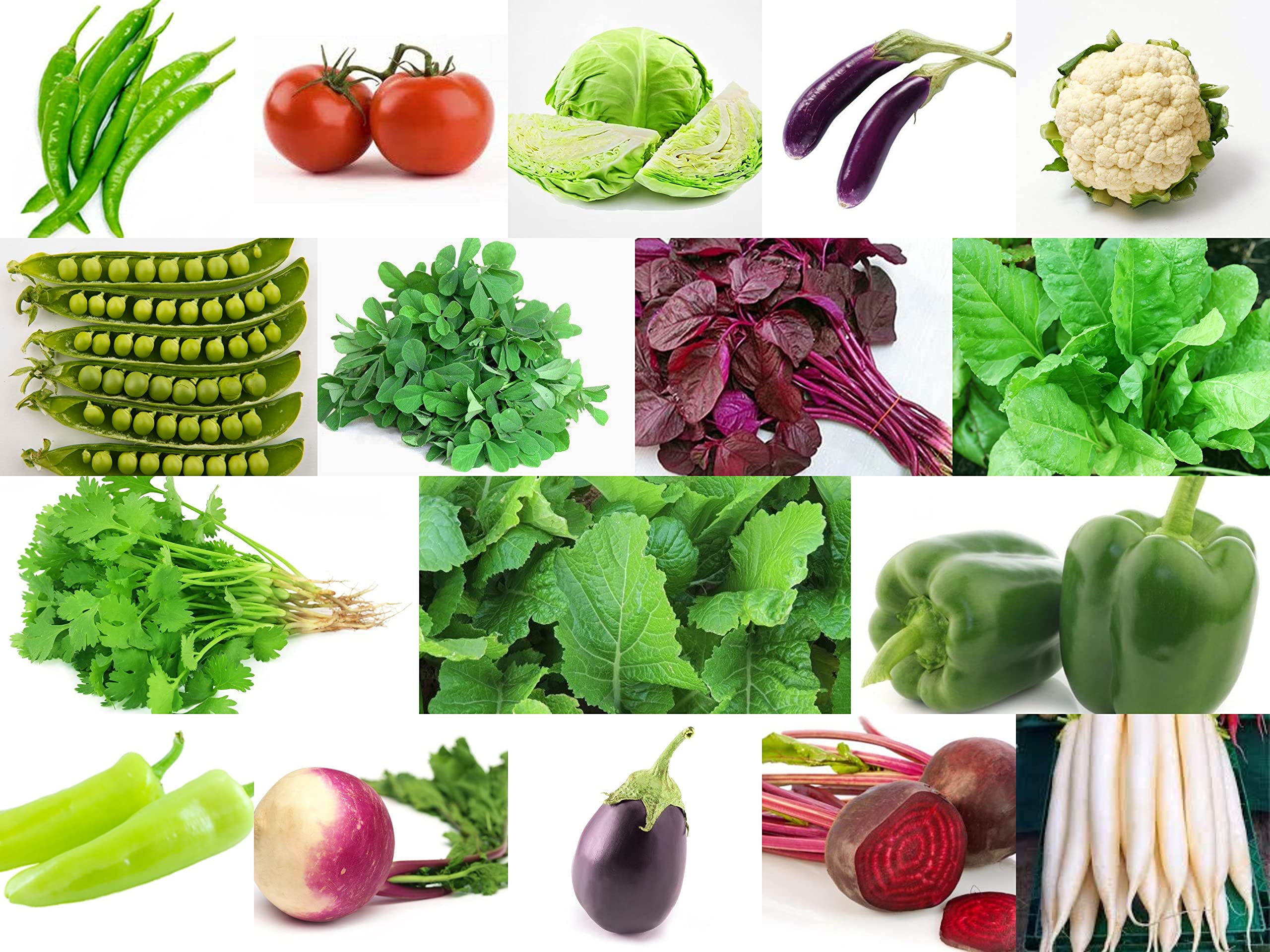 DIOART-CFR-™Winter Season Vegetable Seeds Combo of 19 Varieties For Your Garden-6200+-CMB=X204 (B0CNT5P3RR) Amazon Price History, Amazon Price Tracker