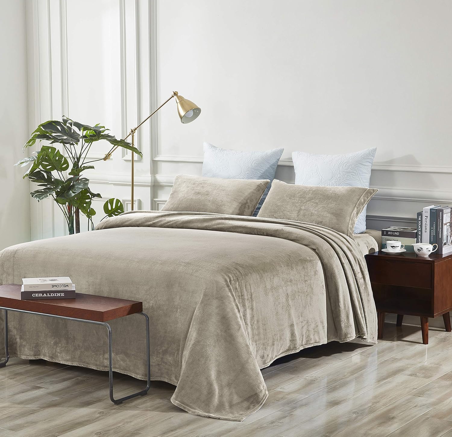 Cozy Fleece Comfort Collection Velvet Plush Sheet Set, Queen, Taupe