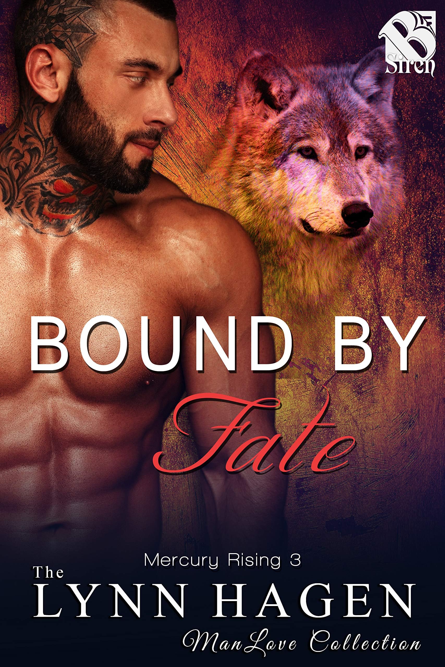 Bound by Fate [Mercury Rising 3] (Siren Publishing The Lynn Hagen ManLove Collection) Kindle Edition
