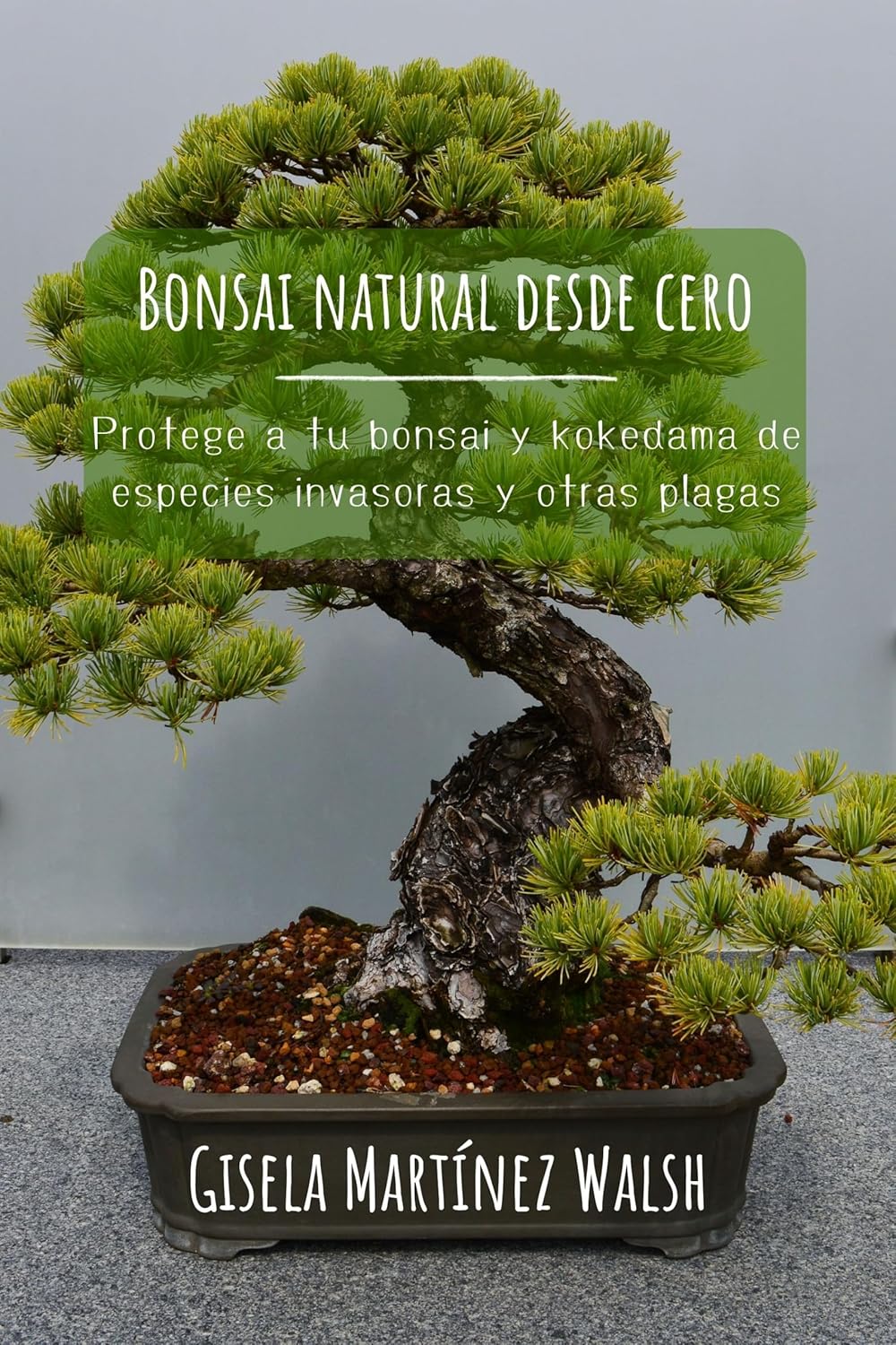 Bonsai natural desde cero Protege a tu bonsai y kokedama